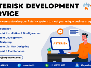 Asterisk Development services