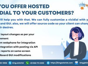 Customized solution for Hosted Dialer