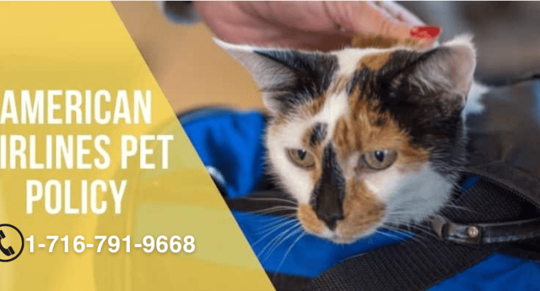 American Airlines Pet Policy