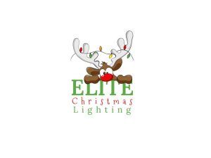 Elite Christmas Lighting
