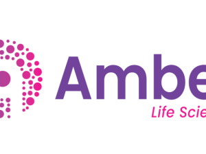 Leading CMO Services: Amber Lifesciences