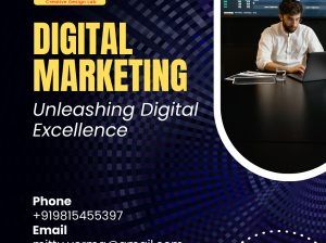 SEO Experts in Chandigarh: Drive More Traffic Today